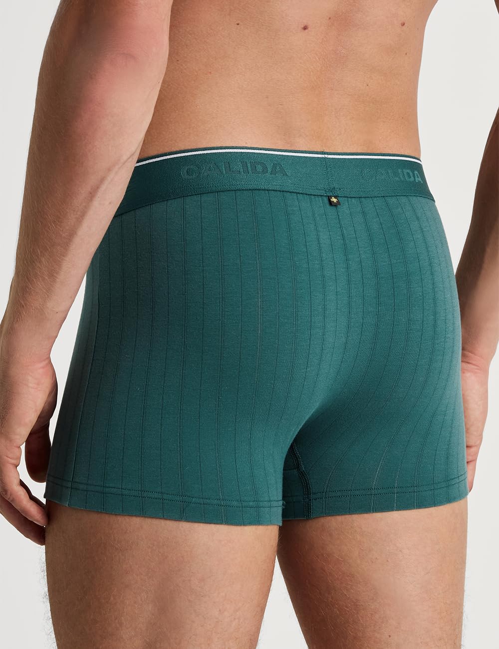 calida-pure-style-boxershorts-herren-mit-nadelzug image 5
