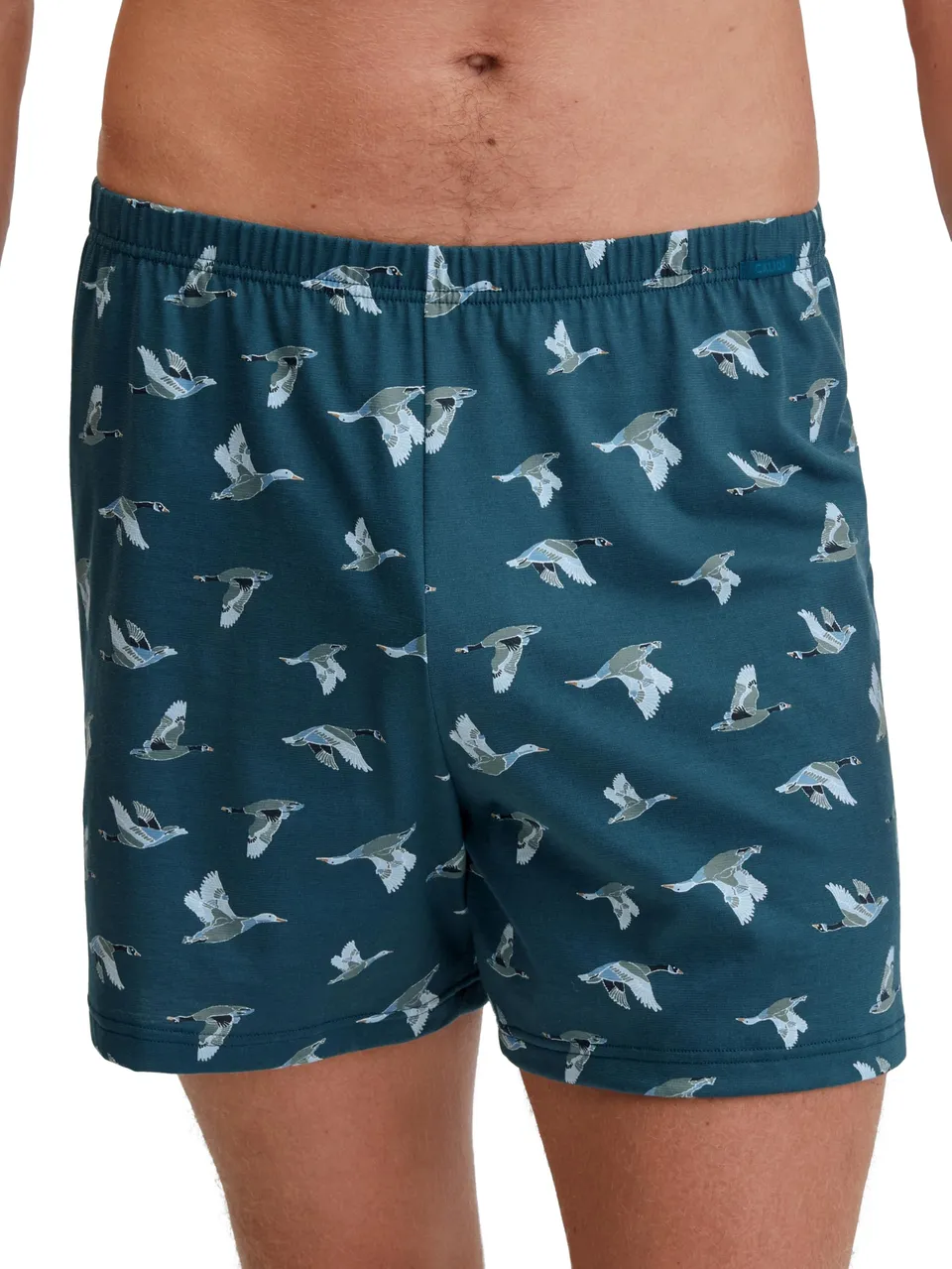 calida-prints-boxershorts-herren-schwarz-1er-pack-baumwolle image 1