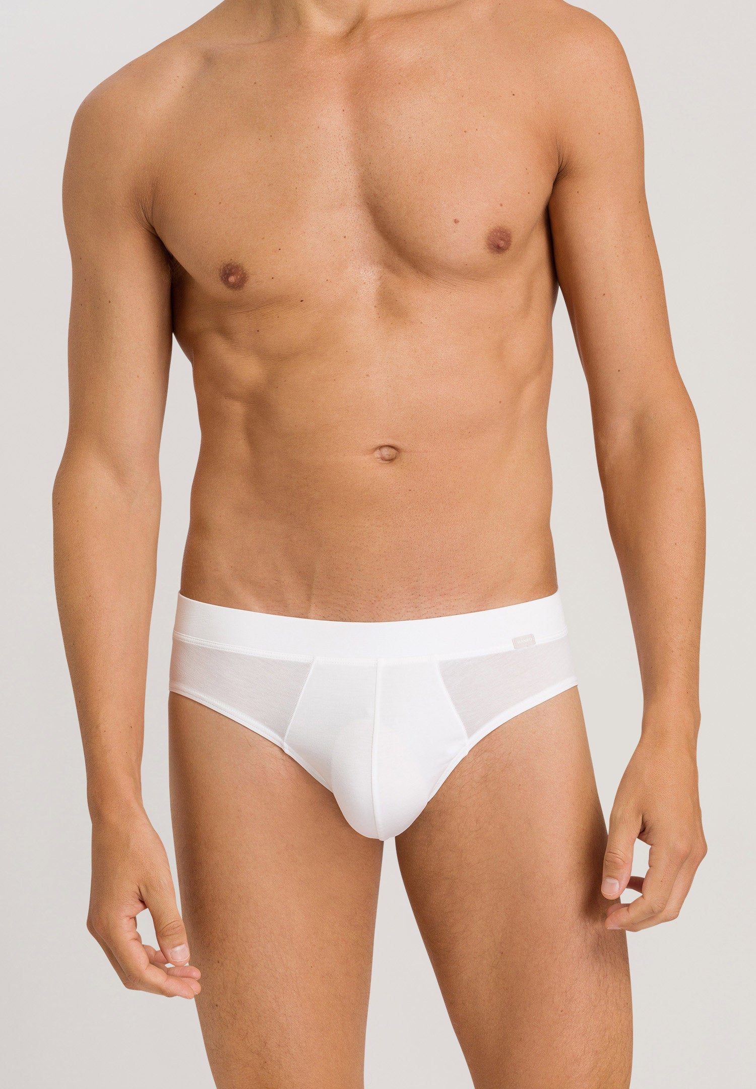 hanro-natural-function-briefs-073180-white-tencel-herren-slip image 2