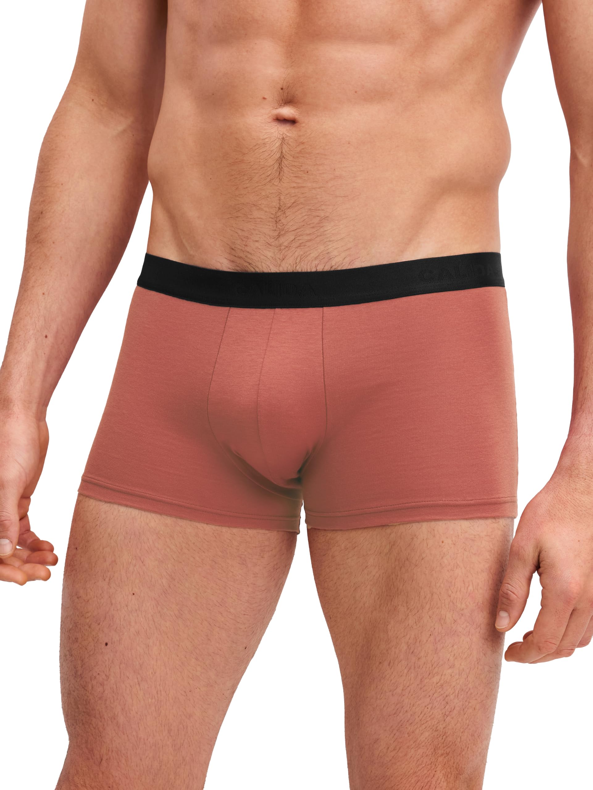 calida-cotton-special-boxershorts-herren-baumwolle-single-jersey image 8