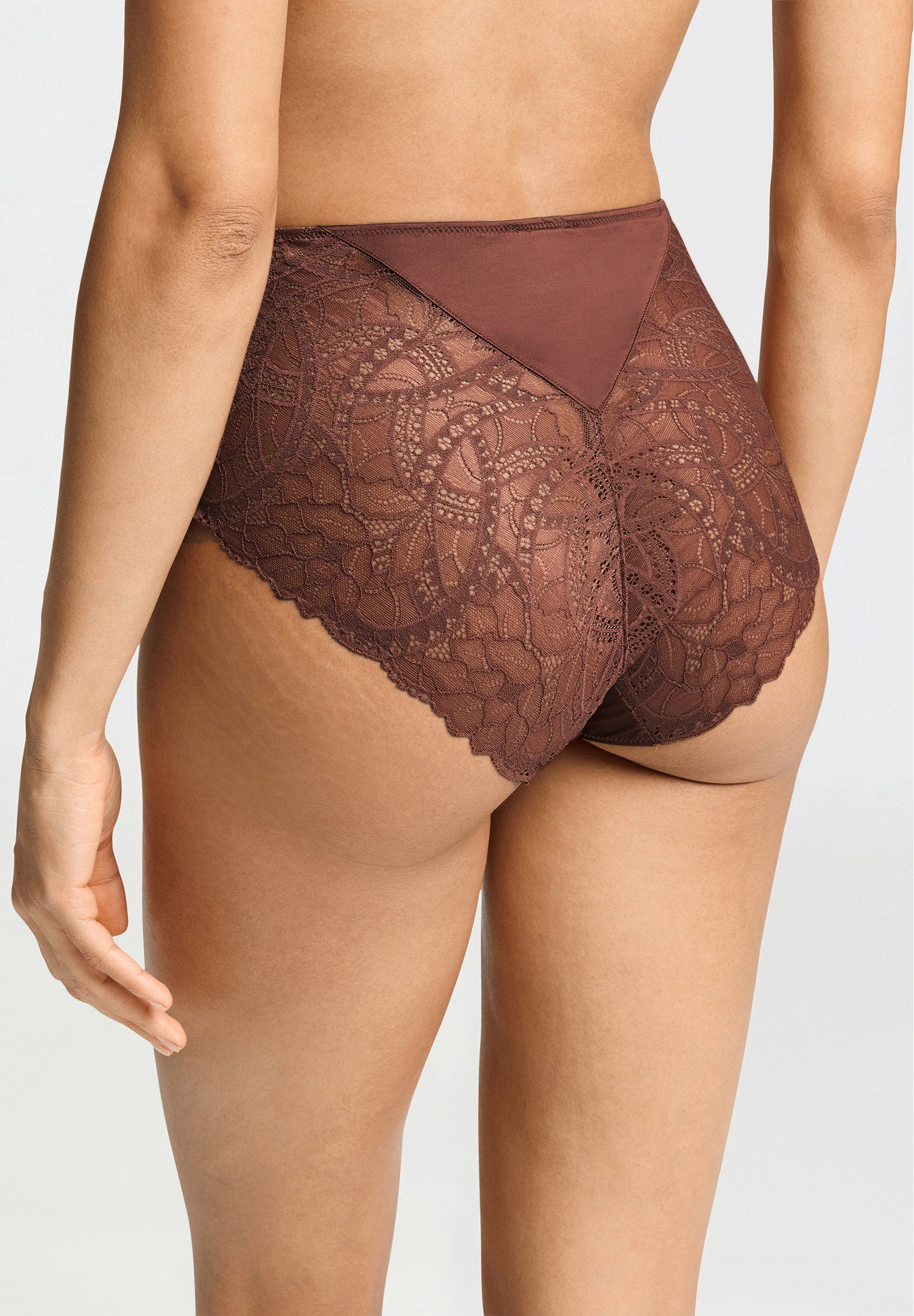 hanro-azelia-maxi-briefs-slip-cinnamon-mit-spitze-viskose image 5