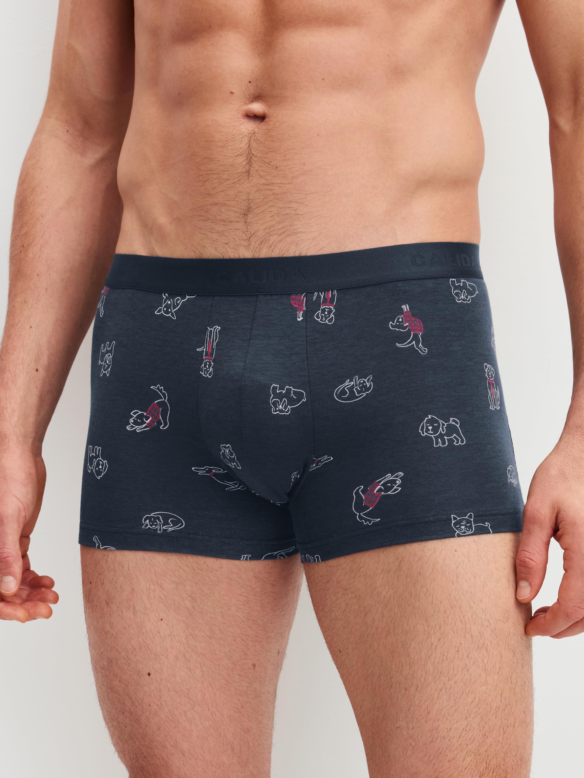 calida-favourites-lounge-family-friends-boxer-58-60-herren image 2