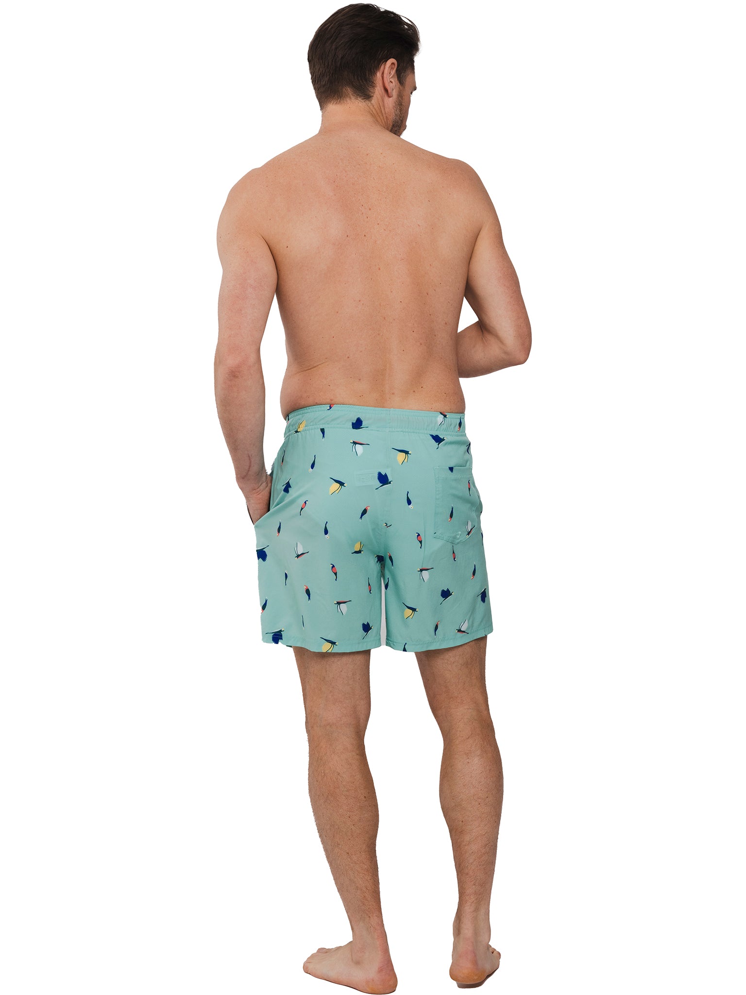 pastunette-tropical-breeze-badeshorts-t-rkis-vogelprint image 3