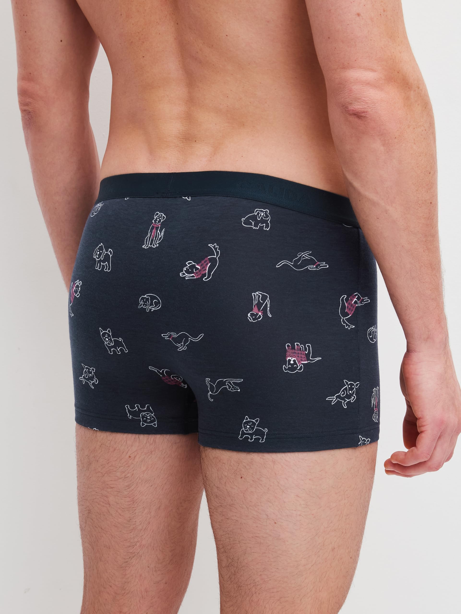 calida-favourites-lounge-family-friends-boxer-58-60-herren image 3