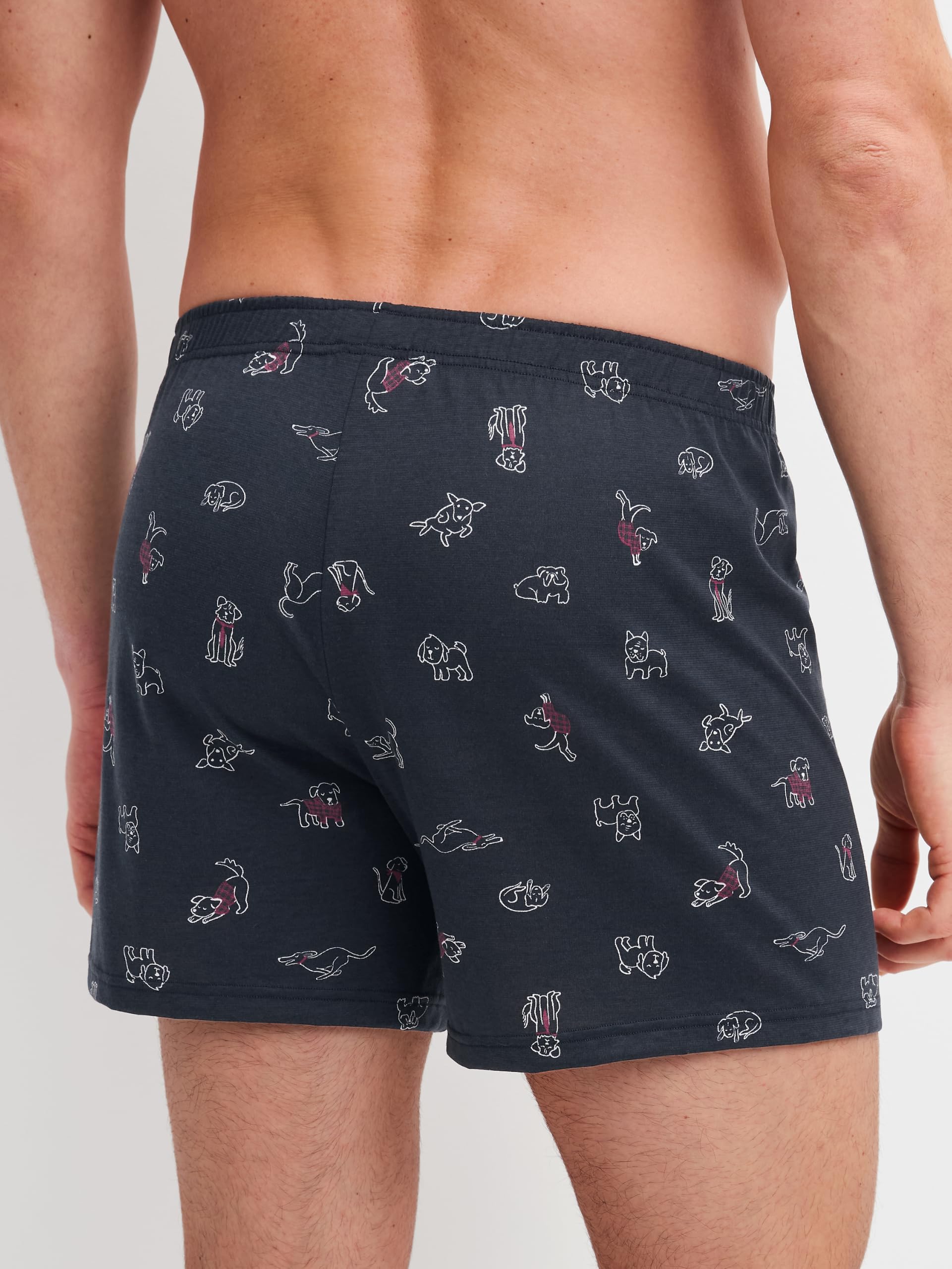 calida-favourites-lounge-family-friends-boxershorts-herren-50 image 3