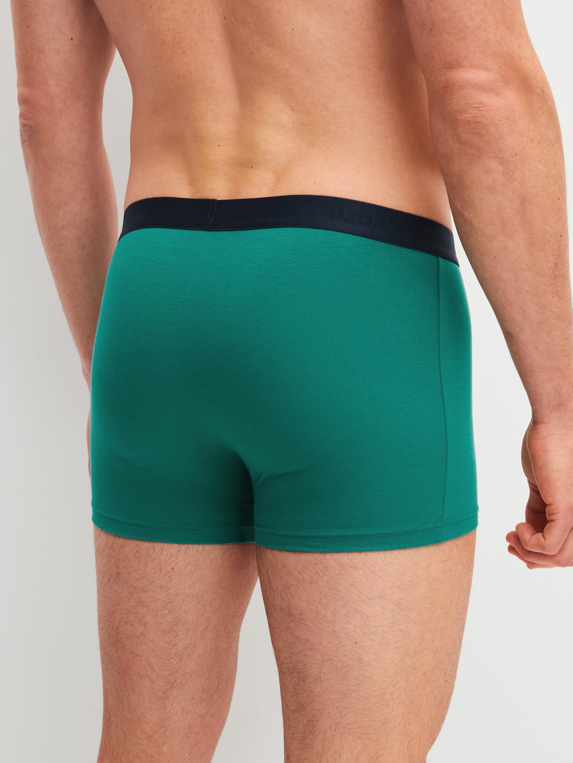 calida-cotton-special-boxershorts-herren-baumwolle-single-jersey image 3