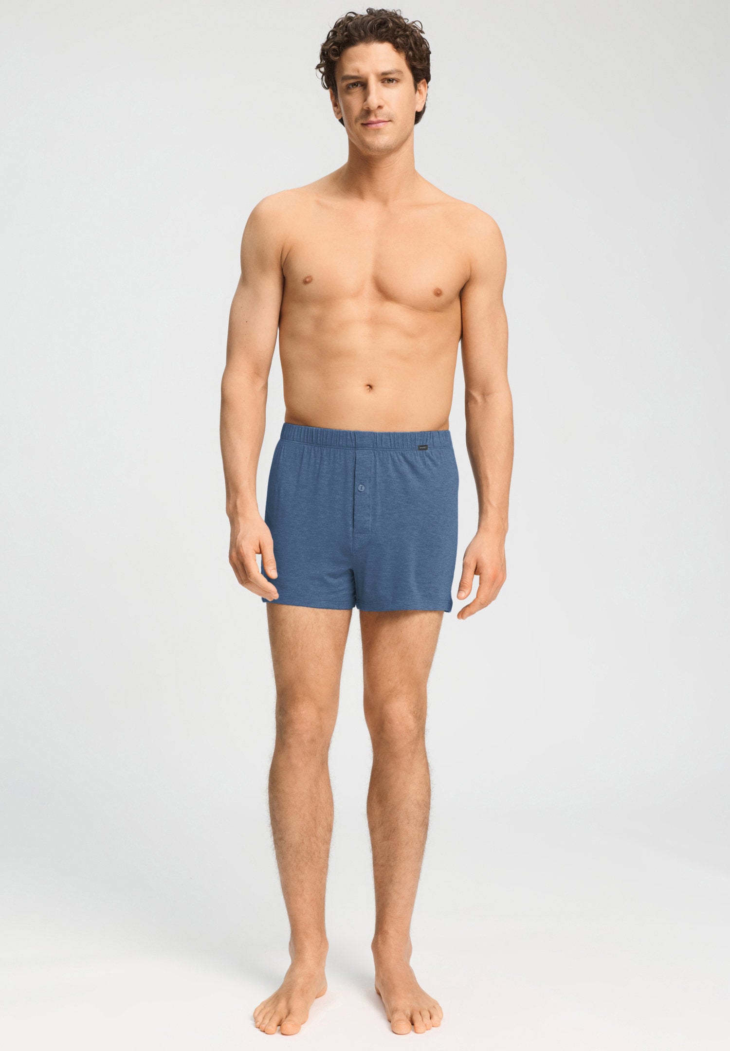 hanro-casuals-boxershorts-tanzanite-melange-viskose-mit-eingriff image 5