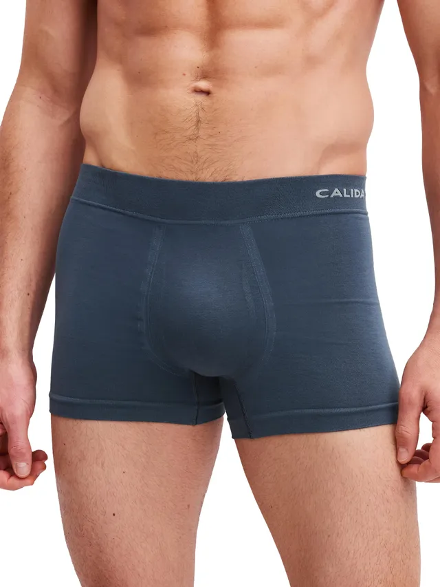 calida-natural-skin-boxer-brief-herren-56-anthrazit-seamless image 1