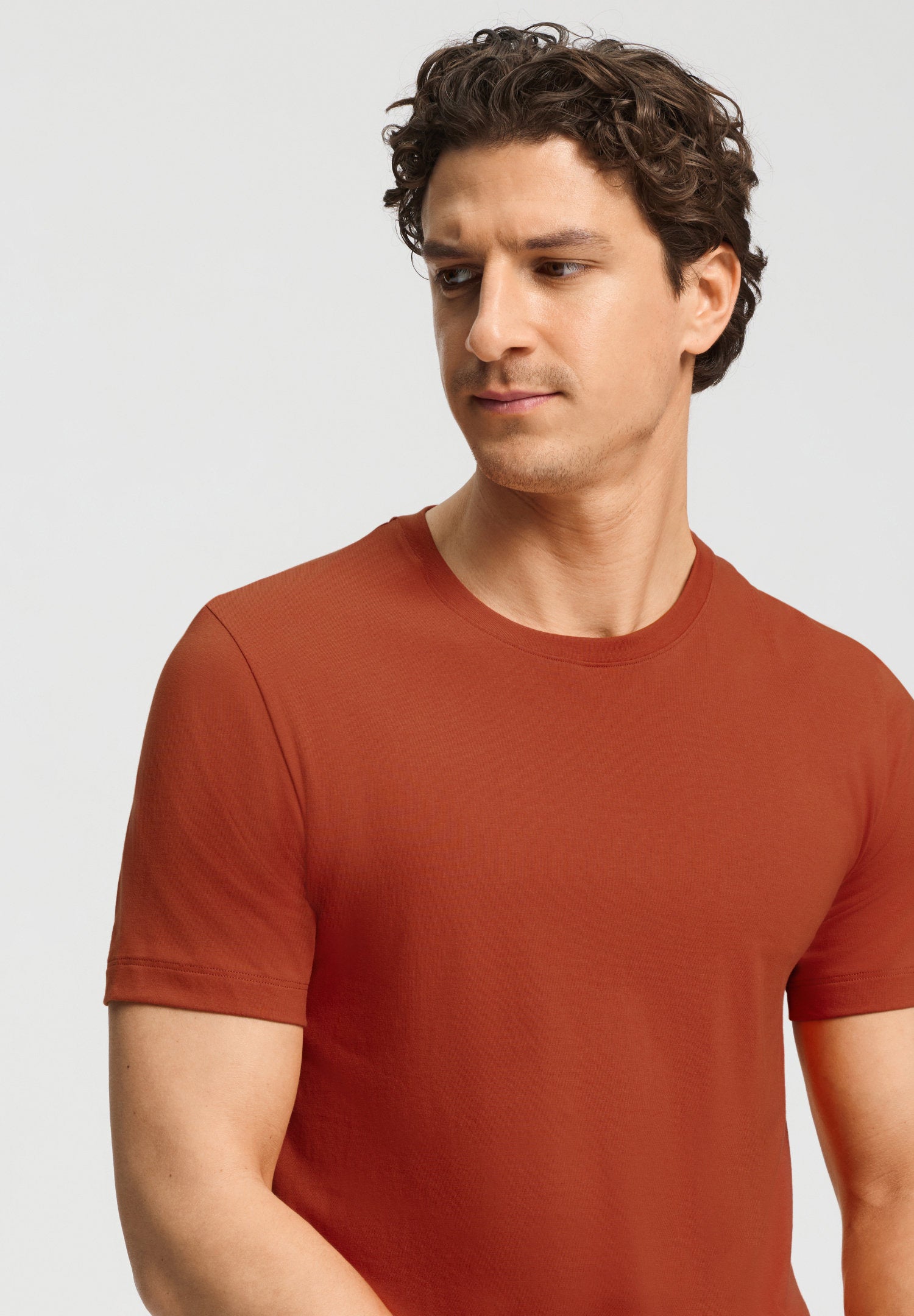 hanro-living-shirts-t-shirt-roobios-tea-baumwolle image 6