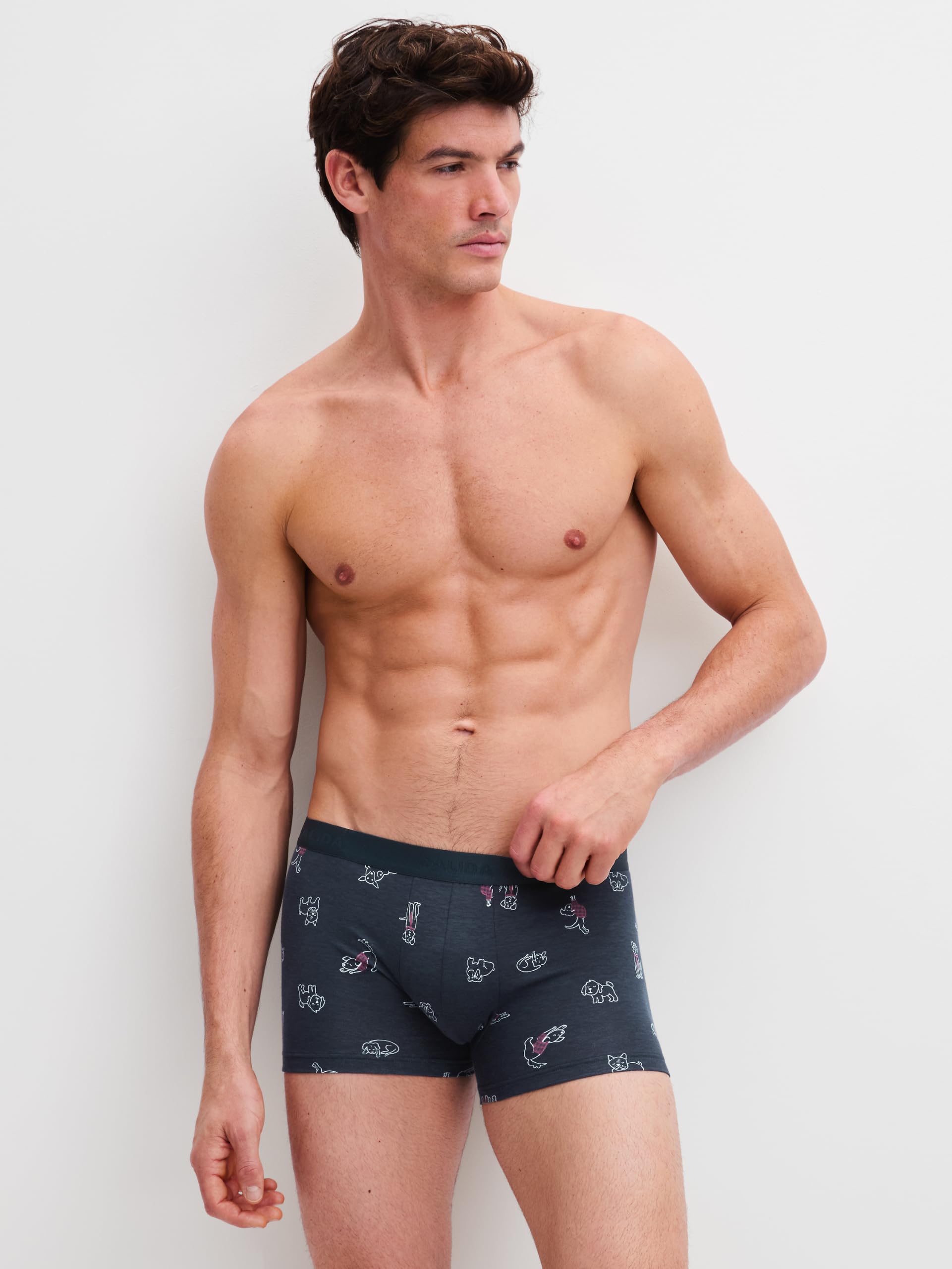 calida-favourites-lounge-family-friends-boxer-58-60-herren image 5